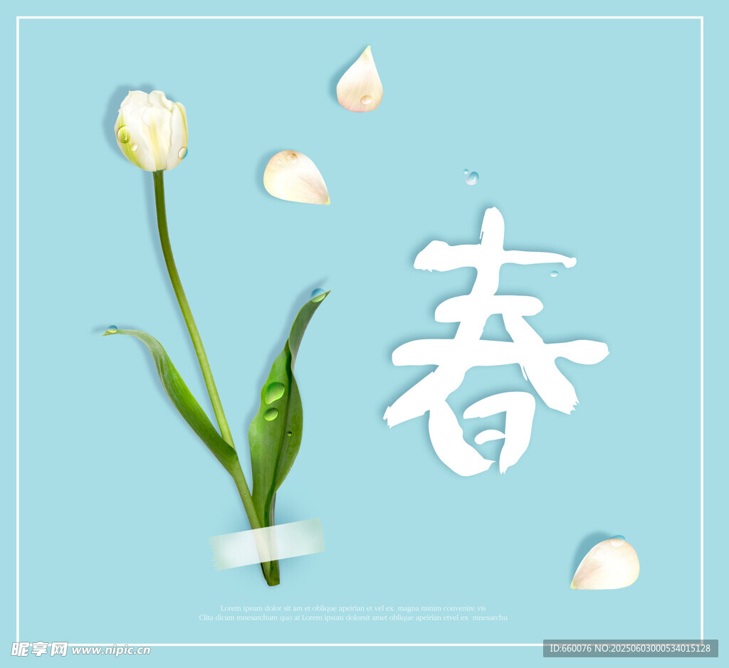 春日郁金香与汉字春景