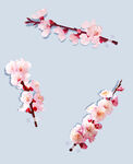 唯美粉色桃花枝插画