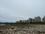 江边碎石地旁的高楼景观