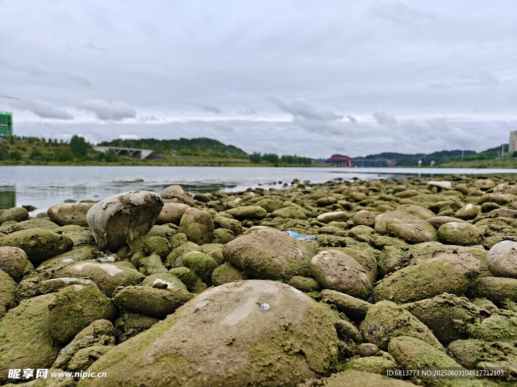 河边布满青苔的嶙峋石块