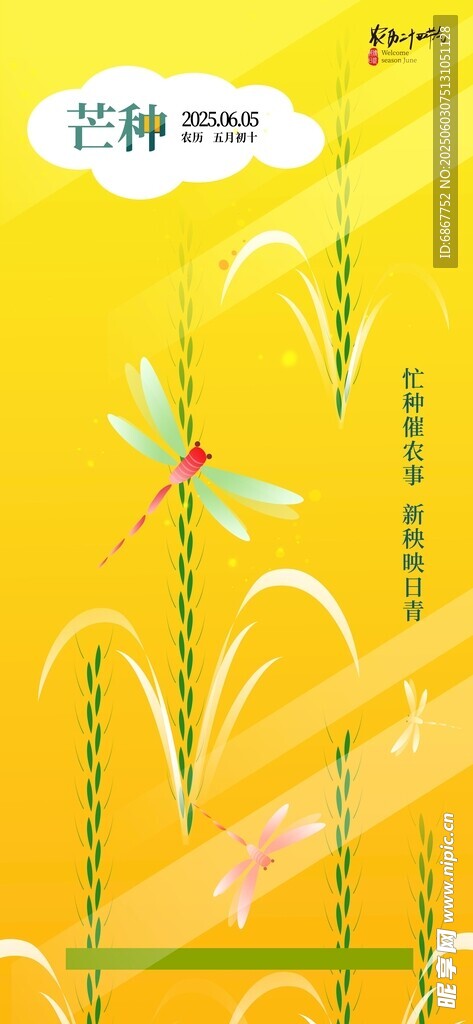 芒种