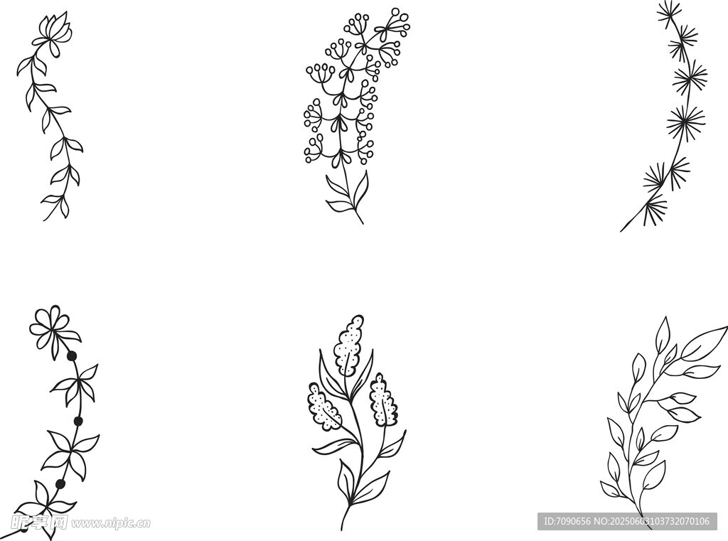 手绘植物花卉线条装饰图案