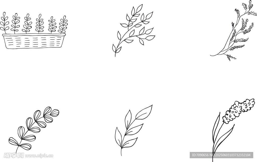 手绘植物线条图案元素