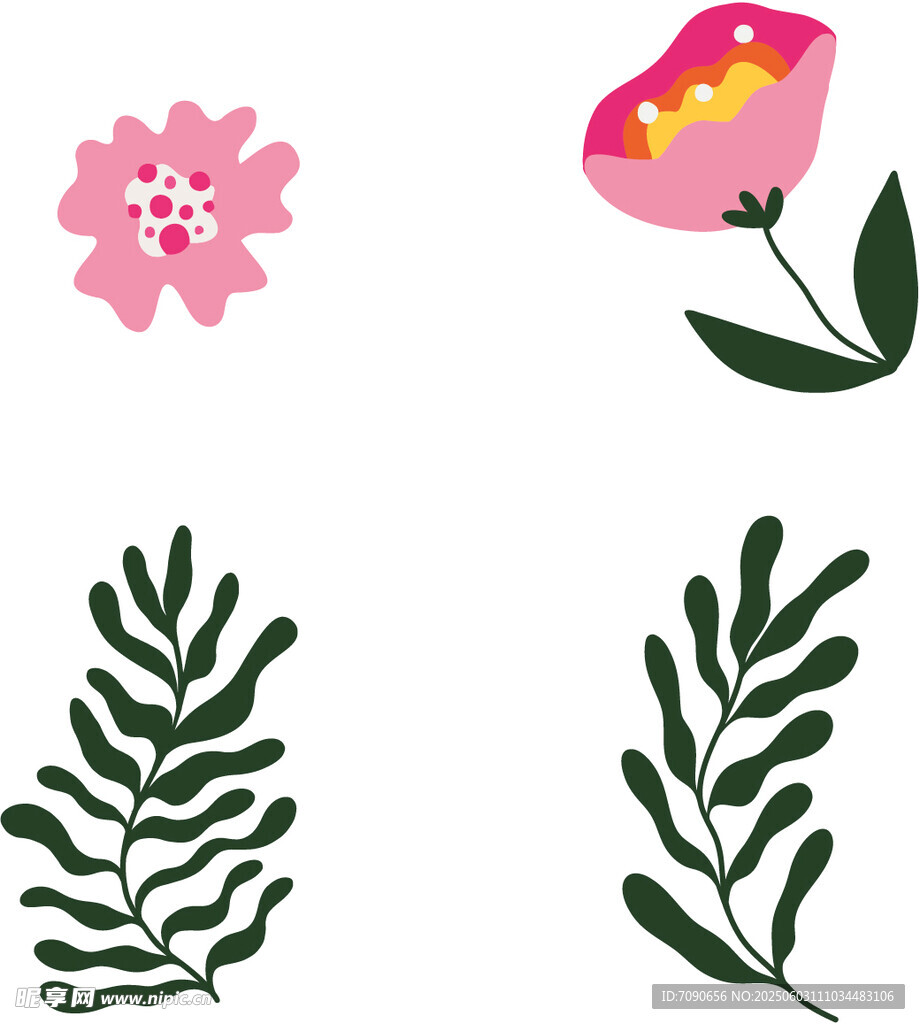 花卉与叶片 
