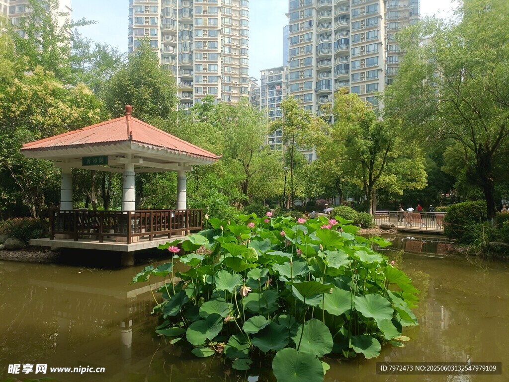 城市公园中的湖畔凉亭景观