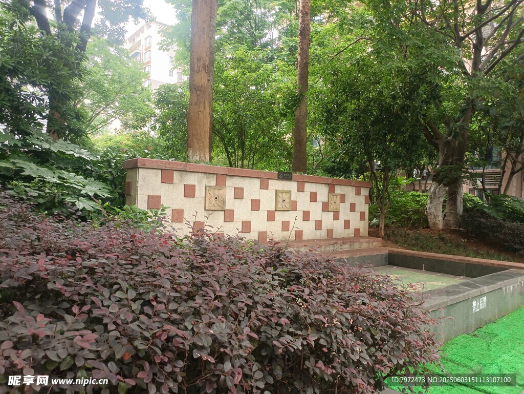 庭院绿植景观一角
