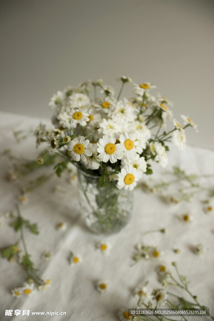 玻璃花瓶中的清新小雏菊