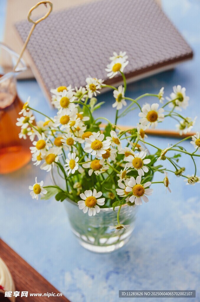 玻璃花瓶中的清新小雏菊