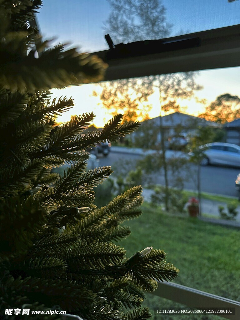 窗外绿意与远处房屋景致