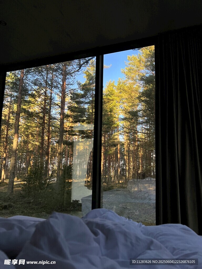 卧室内望窗外森林美景
