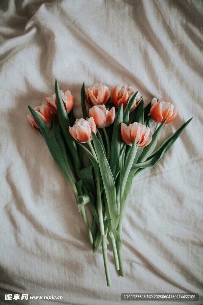 床上的粉色郁金香花束