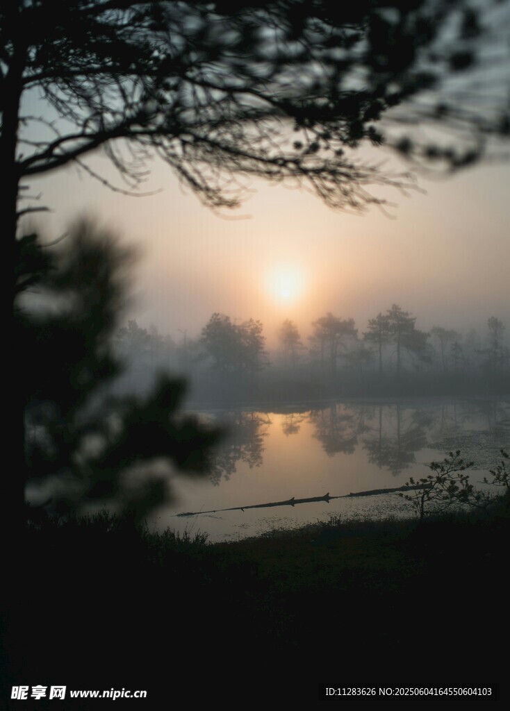 湖畔晨曦美景