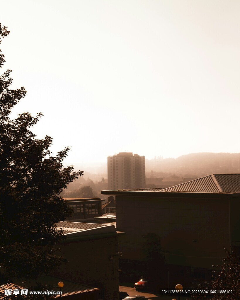 黄昏下的城市与树木景观
