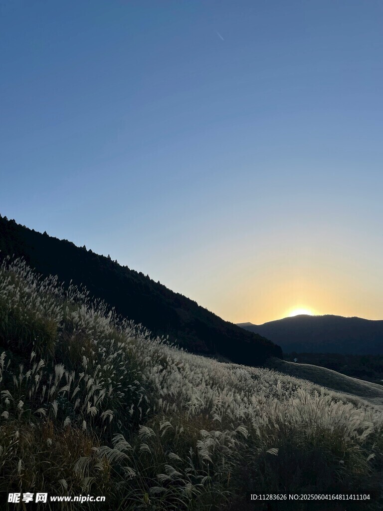 夕阳下的原野美景