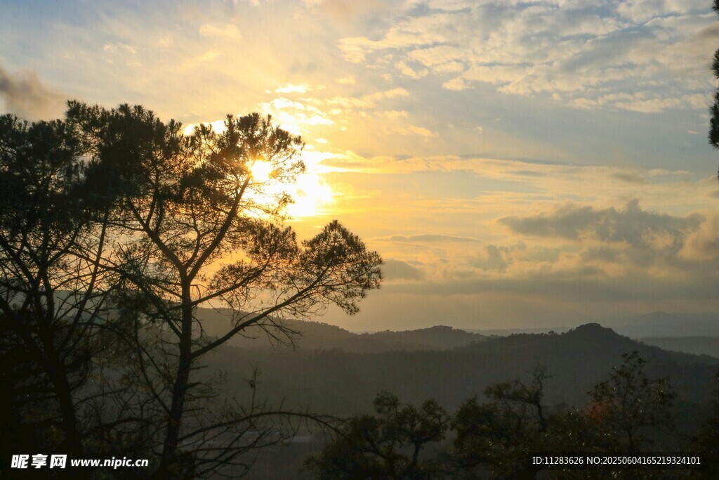 夕阳下的山林美景
