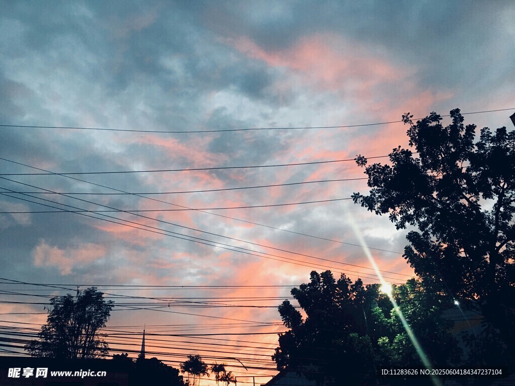 夕阳下的天空与树木景观
