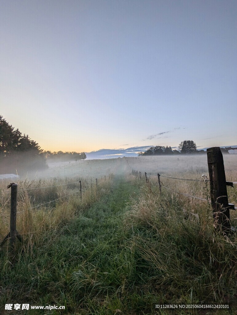 晨雾中的田野围栏美景