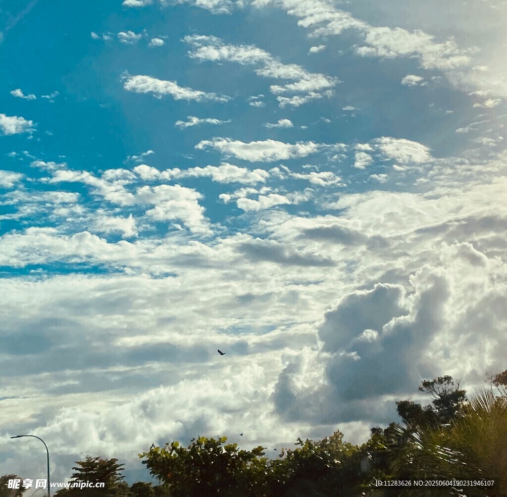蓝天白云下的绿意景致