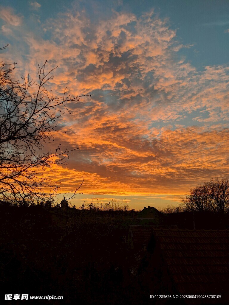 夕阳下绚烂天空与树木