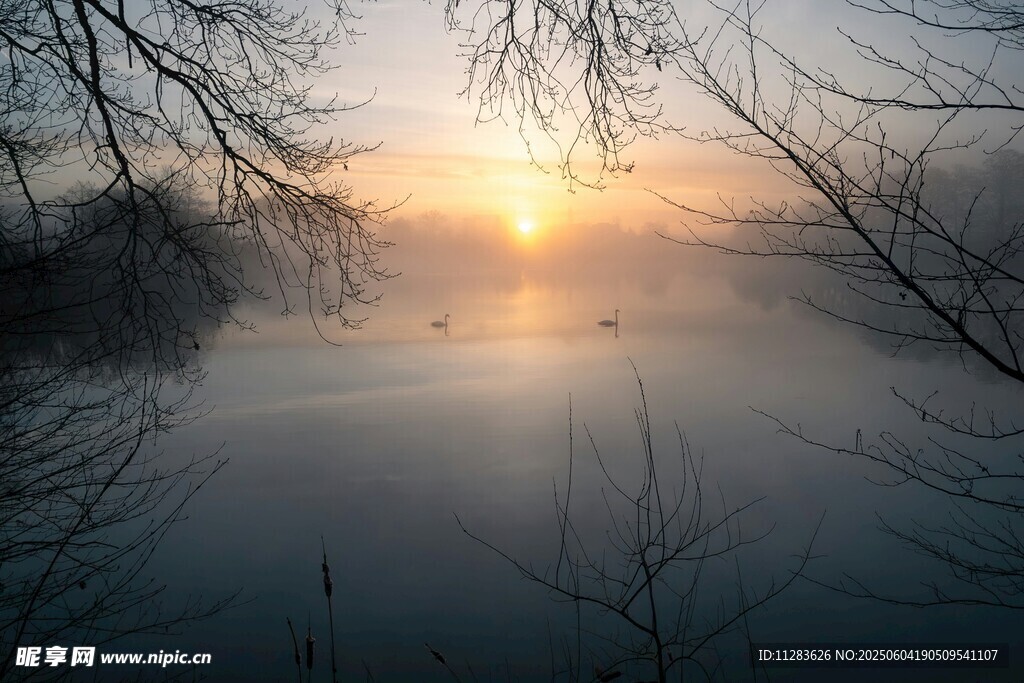 湖畔日出静谧美景