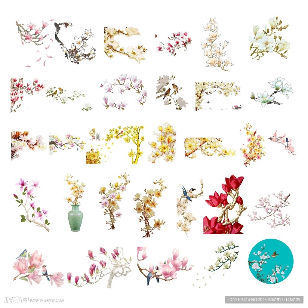 玉兰花素材
