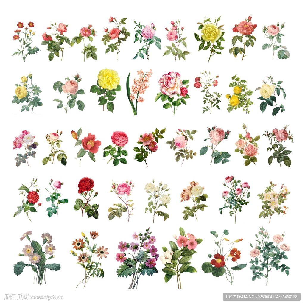 复古手绘花卉图案集合
