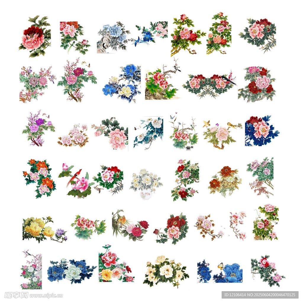 牡丹花