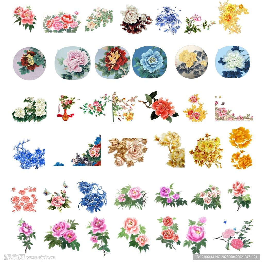 牡丹花