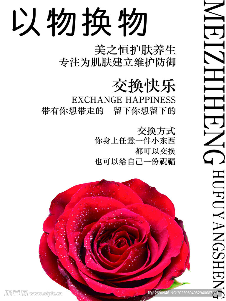 玫瑰