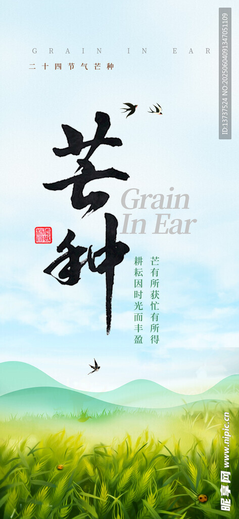 芒种