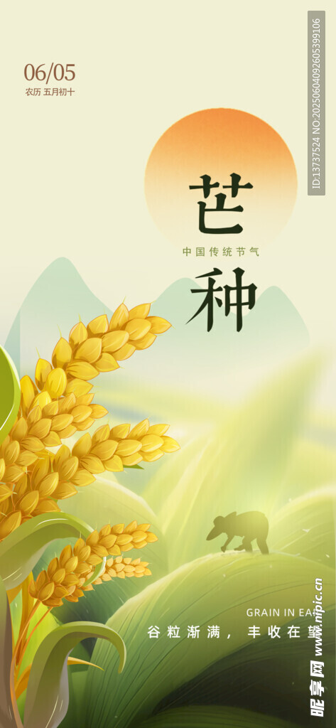 芒种