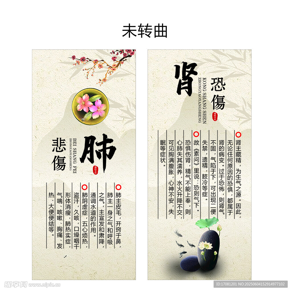 中医脏腑养生知识海报