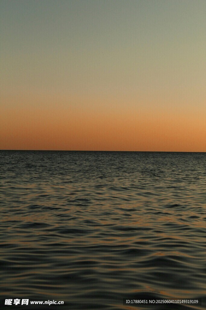 大海