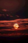 夕阳