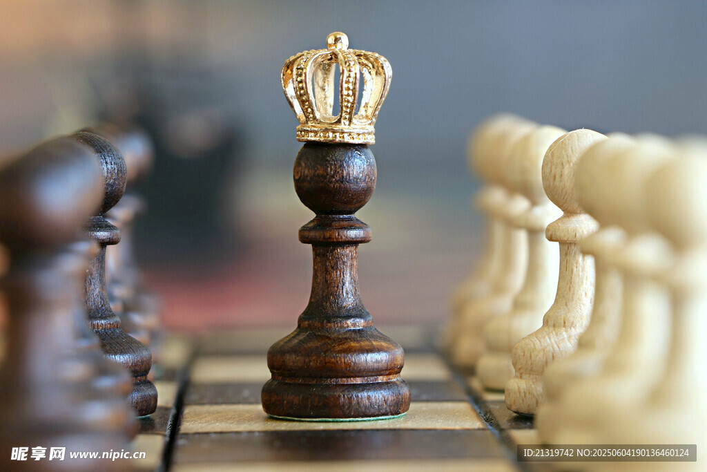 棋盘上的王者棋子