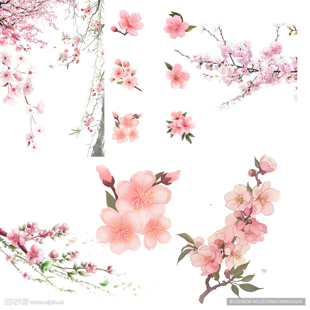 手绘粉色桃花花卉图案