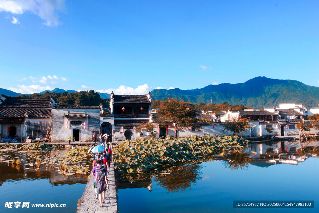 水乡美景 宁静村落映碧水