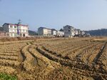 农村风景