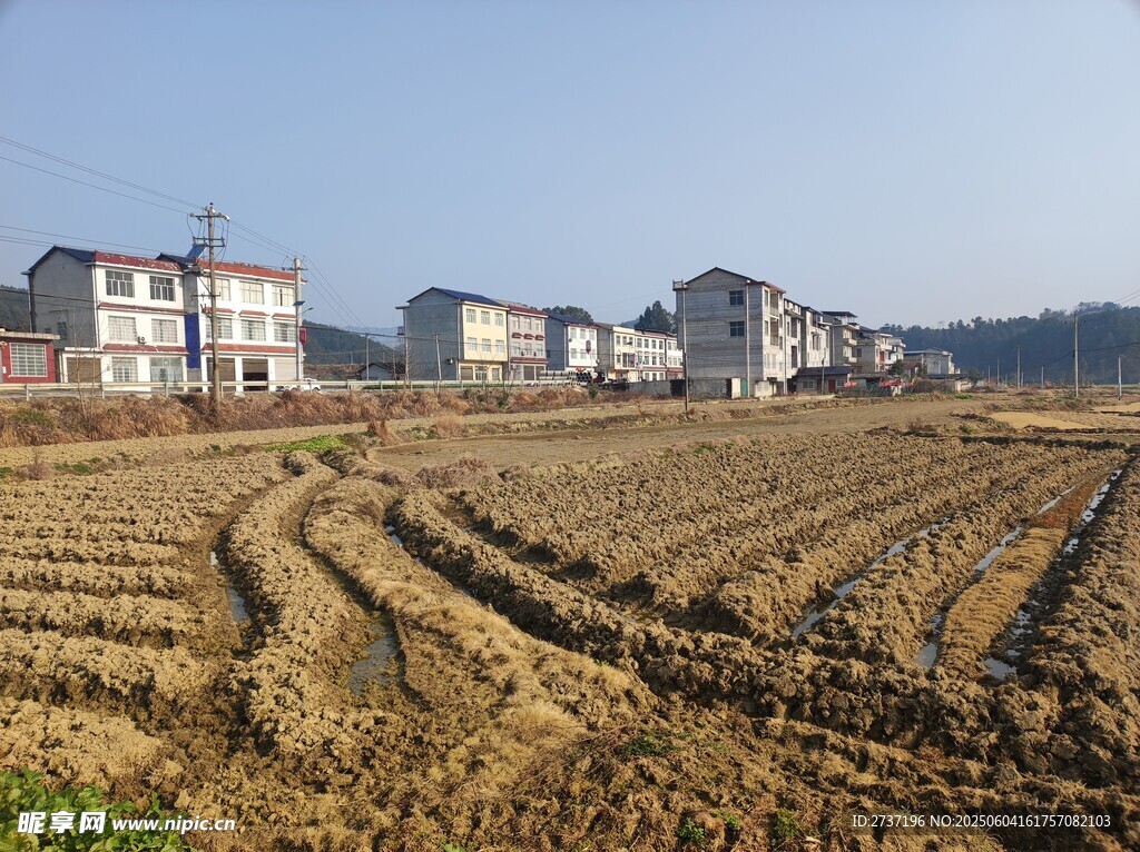 农村风景