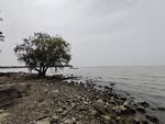 红沙湾