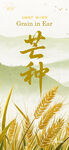 芒种时节麦田景象