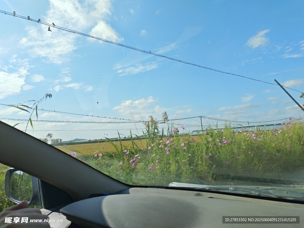 车内视角的户外风景
