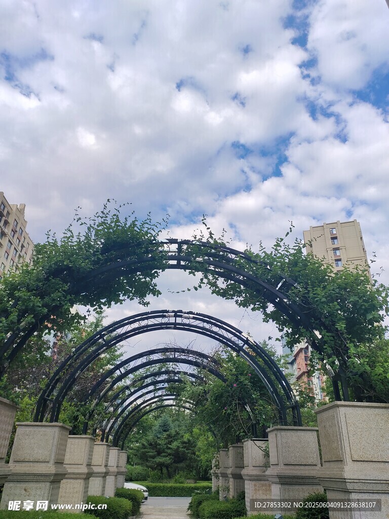 花园拱形绿植景观
