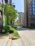 城市住宅区街道景观