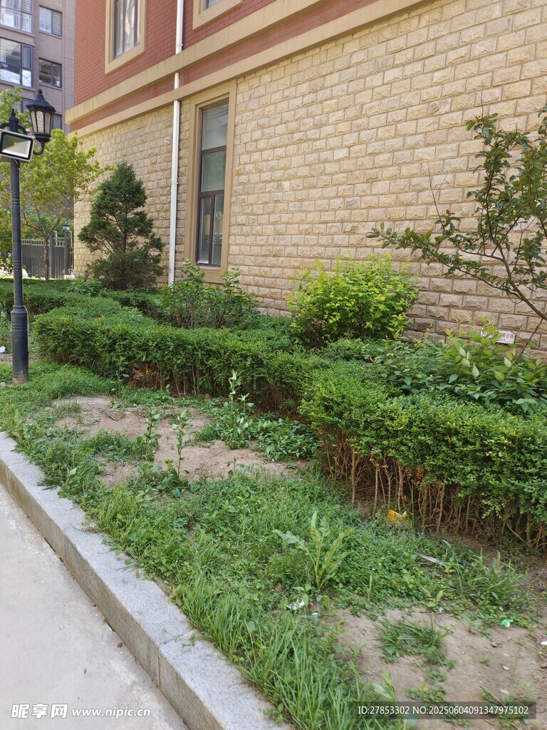 小区墙边绿植景观