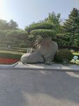 公园中的别致石雕景观