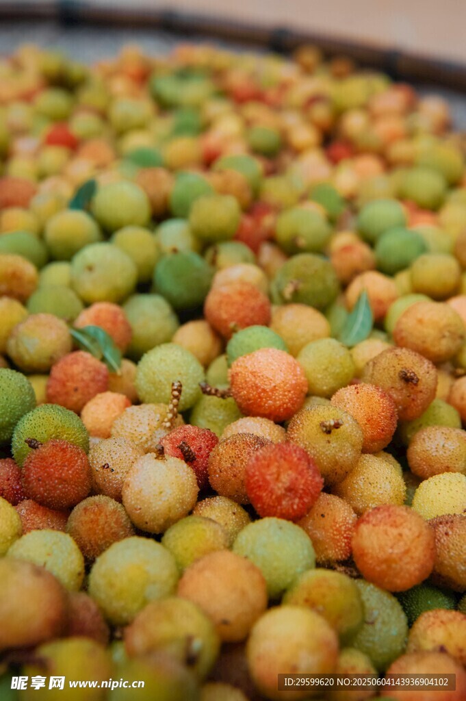 多彩饱满的新鲜果实