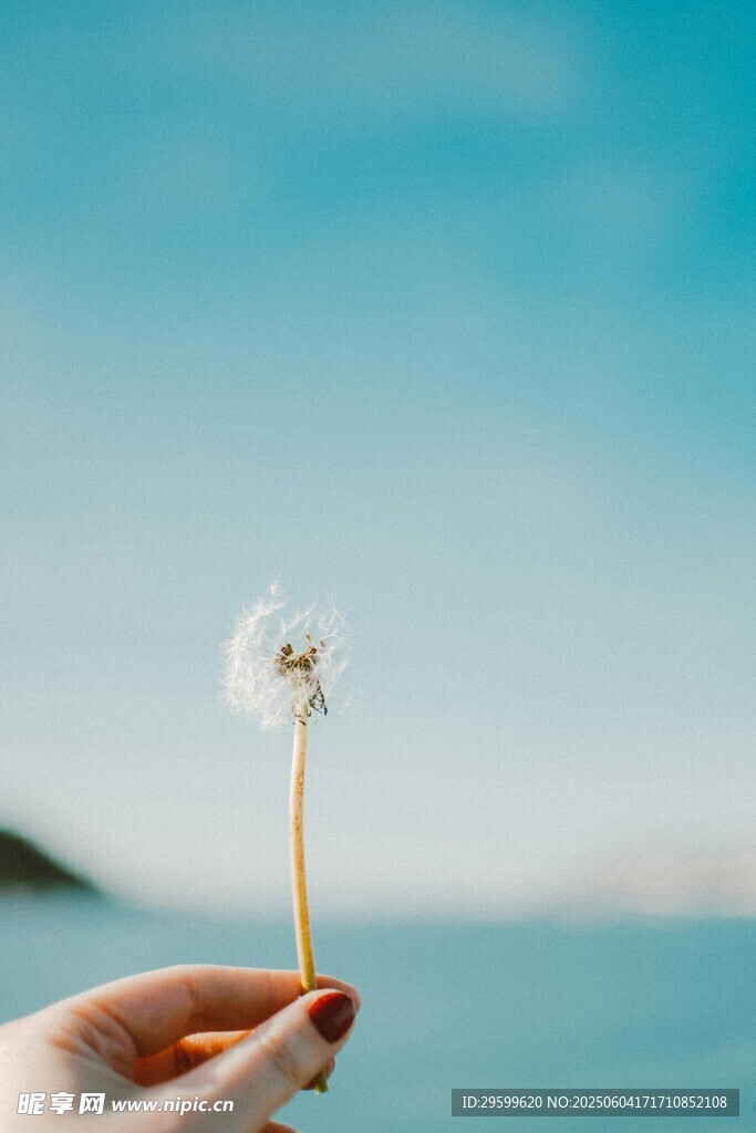 手托蒲公英面向蓝天大海