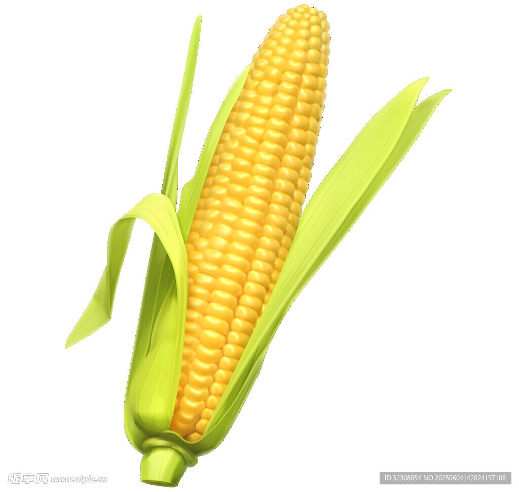 新鲜玉米棒