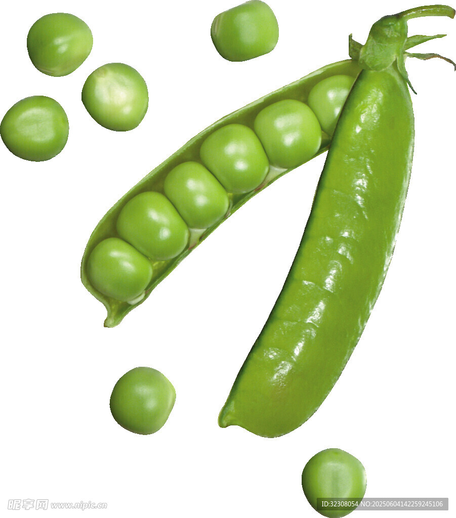 新鲜青豌豆荚与散落豌豆